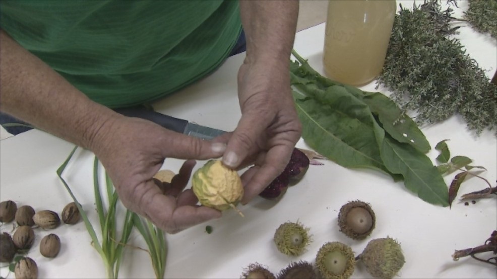 Learning All the Facts About Eating Weeds