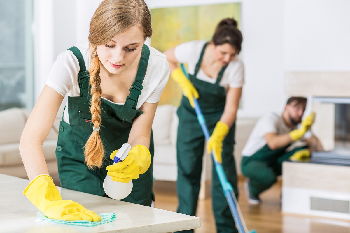 A Guide On Professional House Cleaning Services for Exteriors  