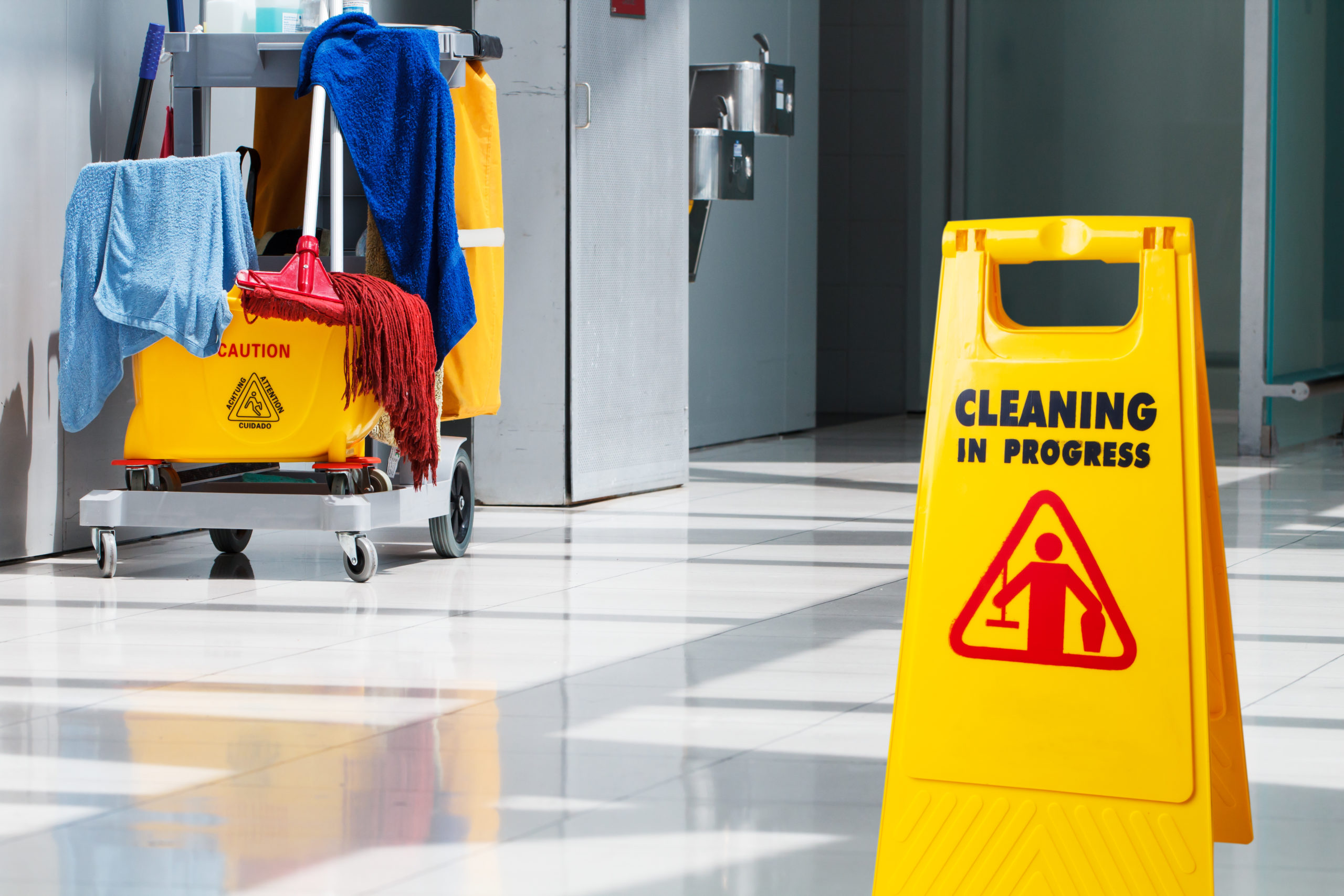 Why should you hire the Services of a professional Disaster Cleanup Agency? 