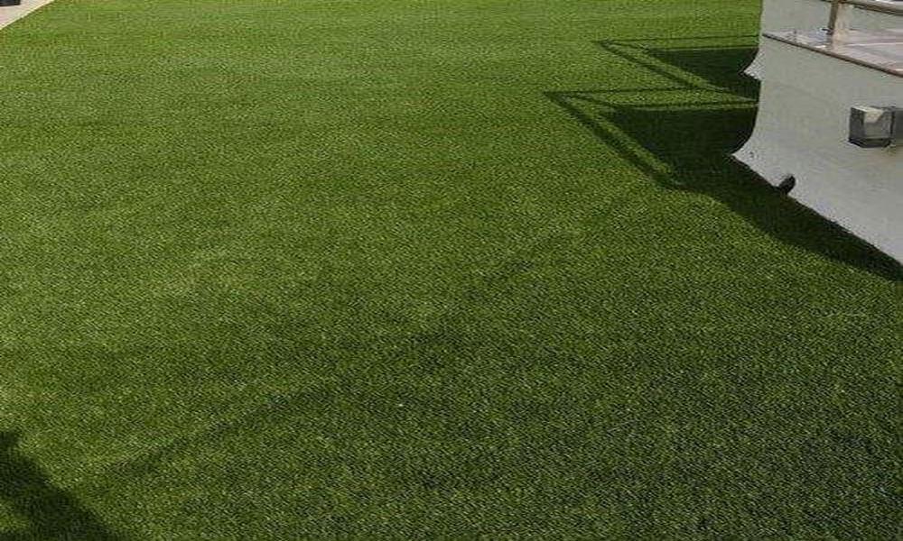 Is Artificial Grass the Secret to Effortless Indoor Greenery