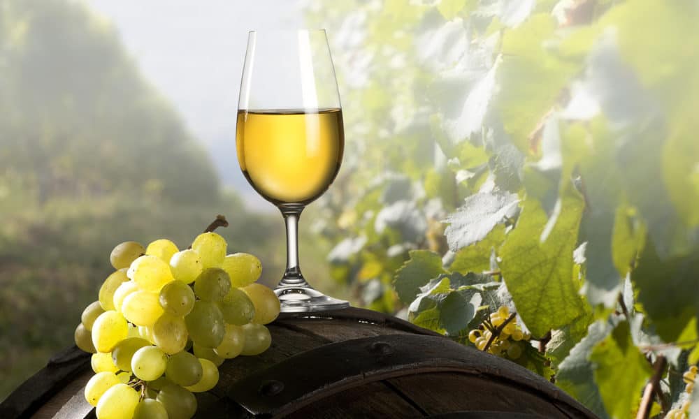 famous wine regions