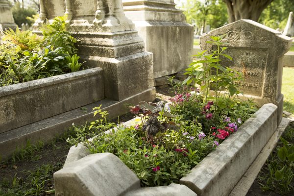 Garden Cemetery